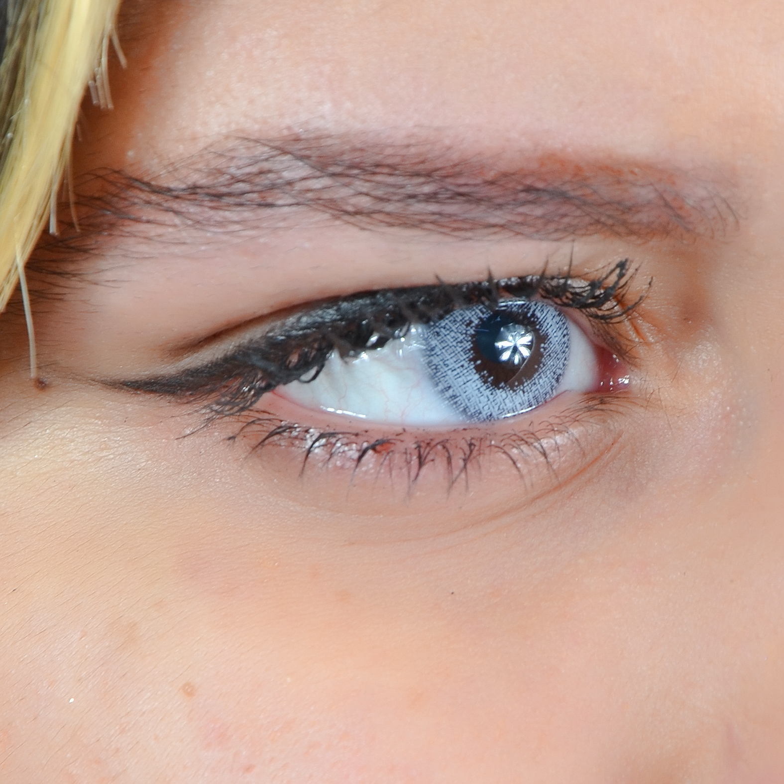 Lentilles Perla