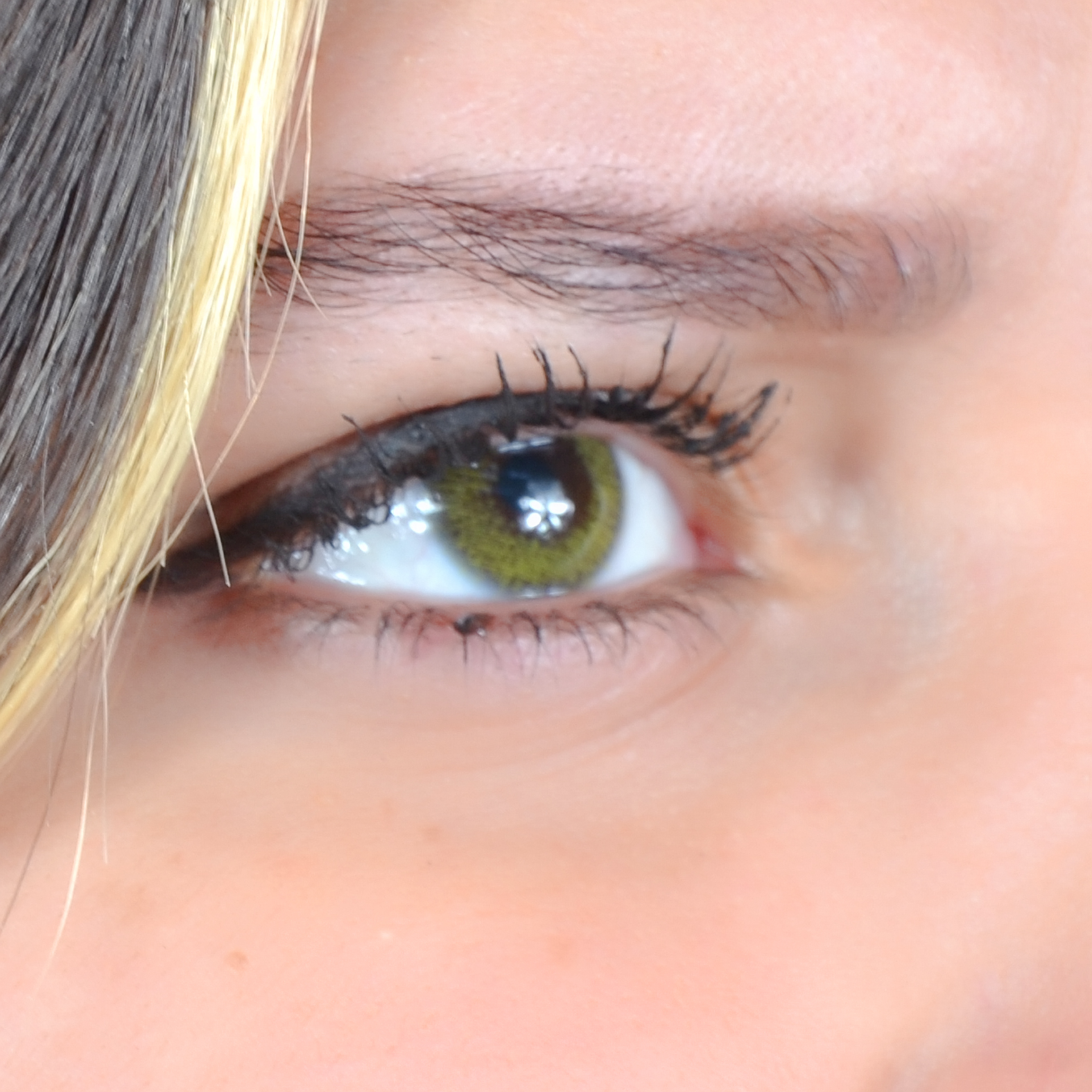 Lentilles Giallo