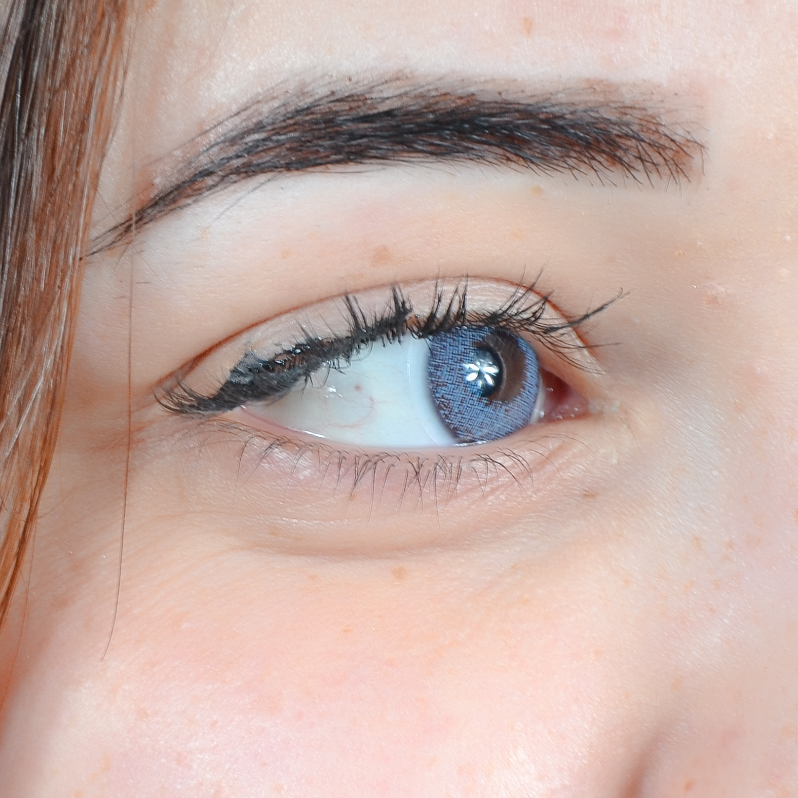 Lentilles Perla