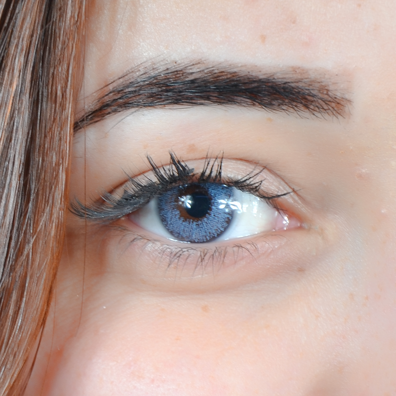 Lentilles Perla