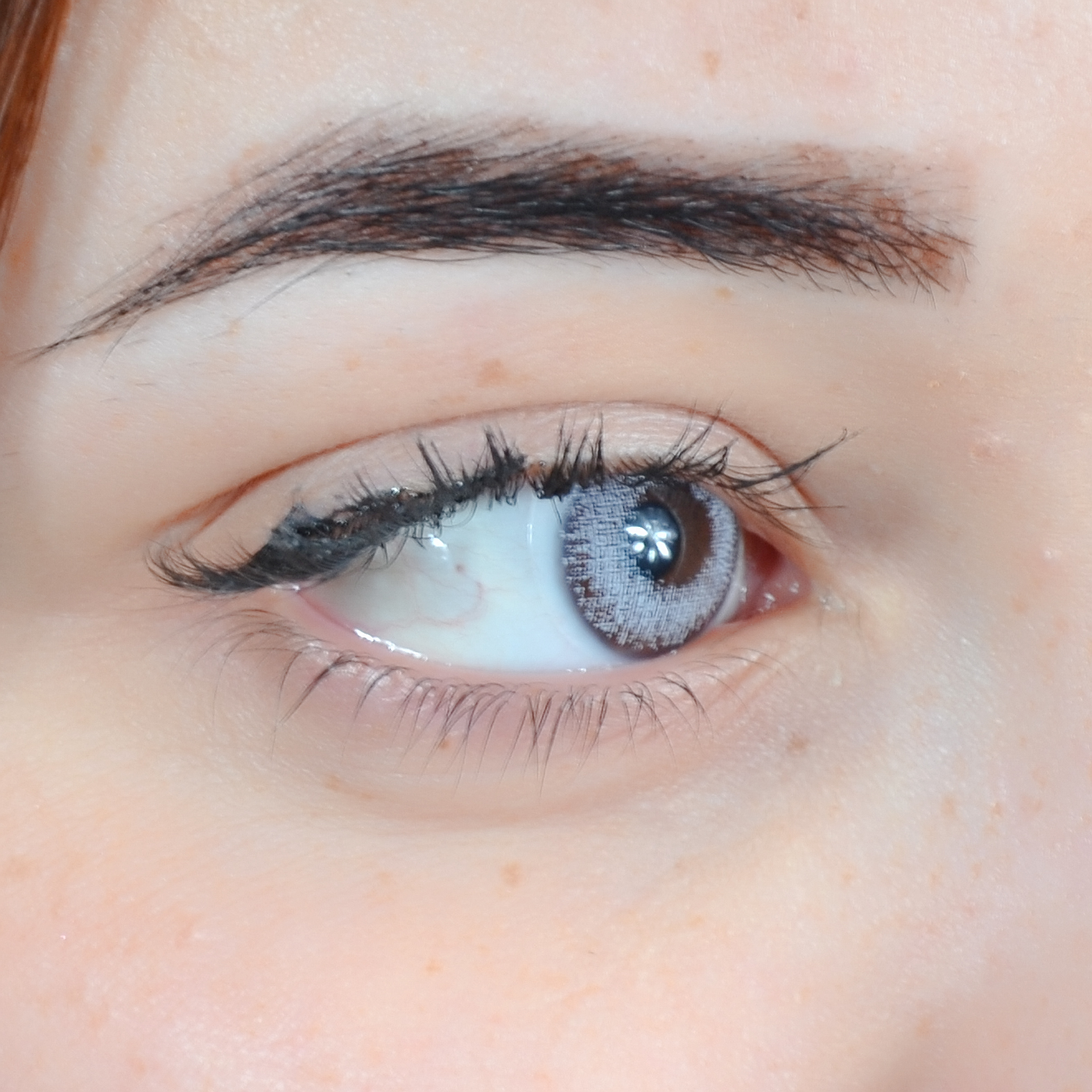 Lentilles Perla