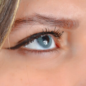 Lentilles Verde
