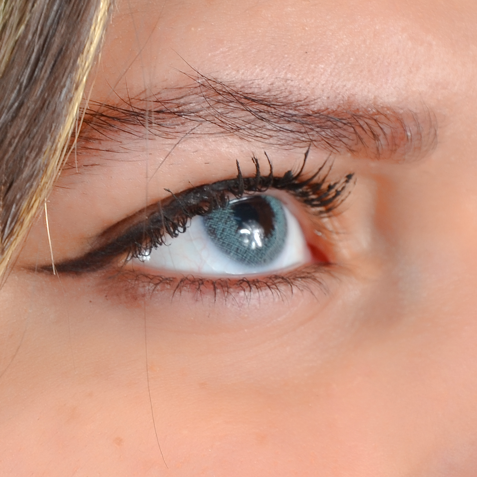Lentilles Verde