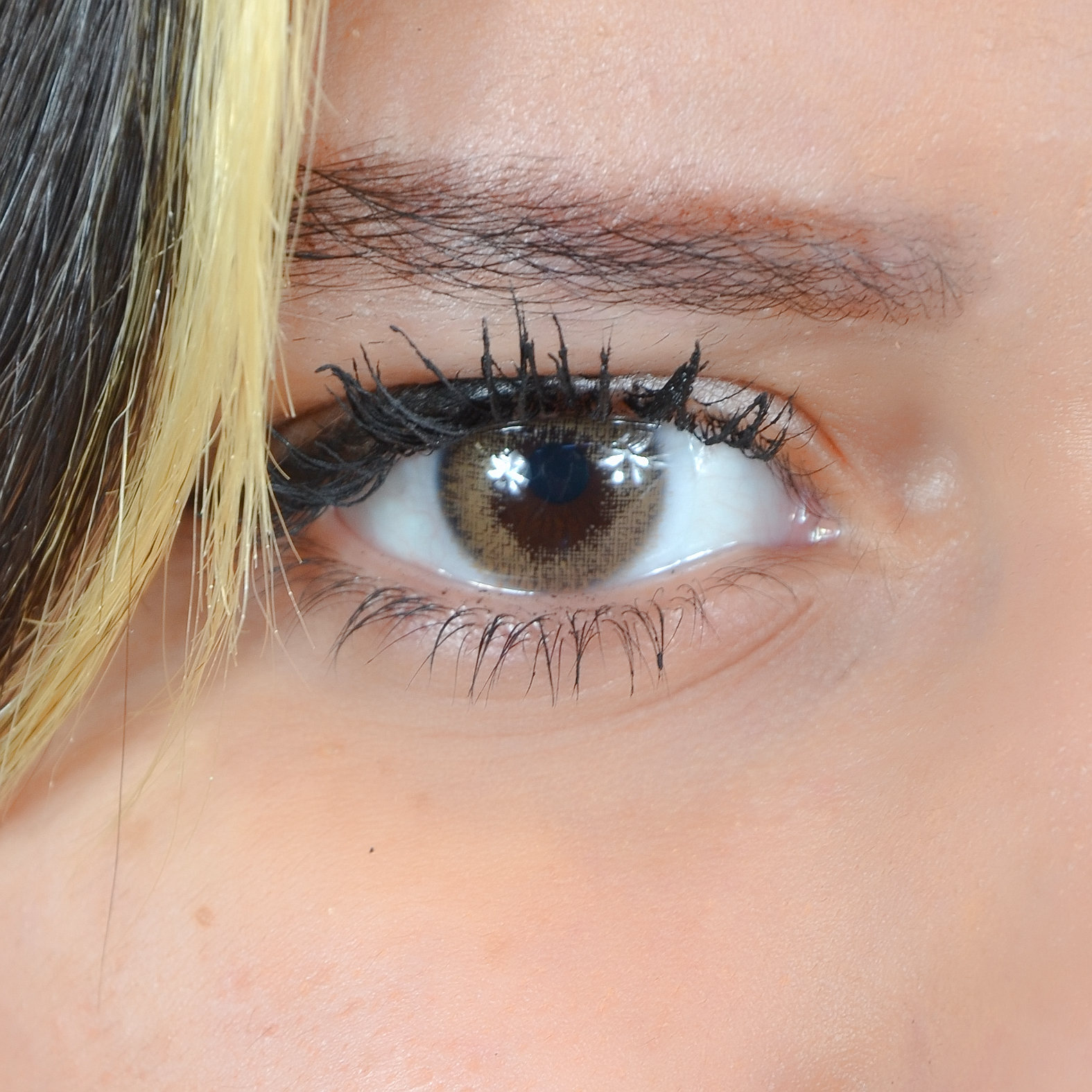 Lentilles Miel