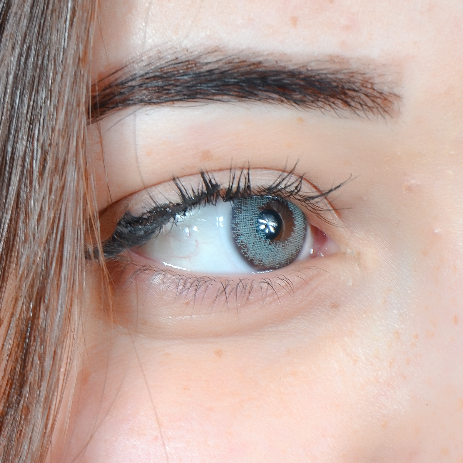 Lentilles Verde